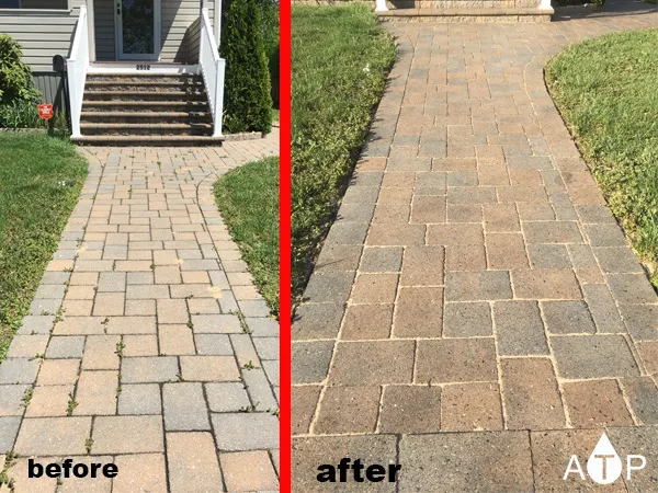 Paver walkway before and after cleaning