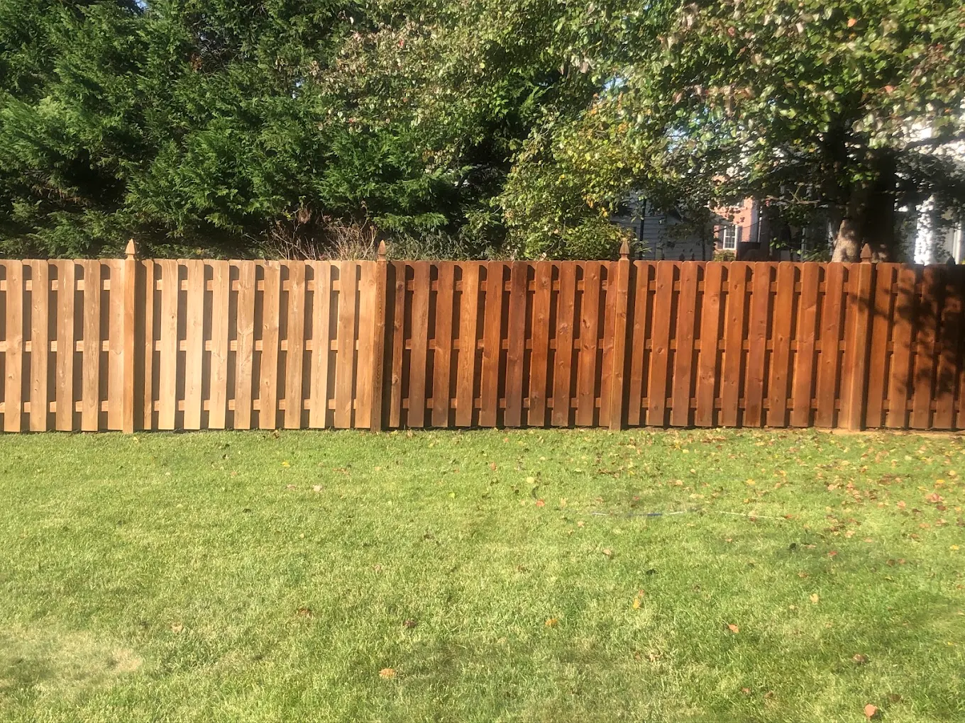 Wood fence partially stained to show the finish difference