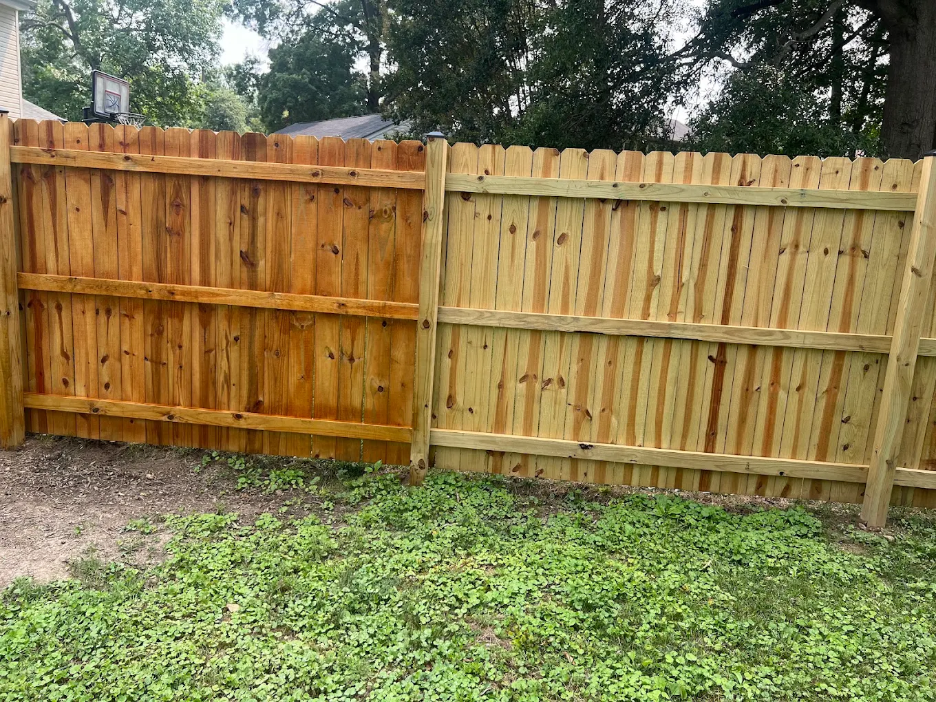 Wood fence halfway through cleaning