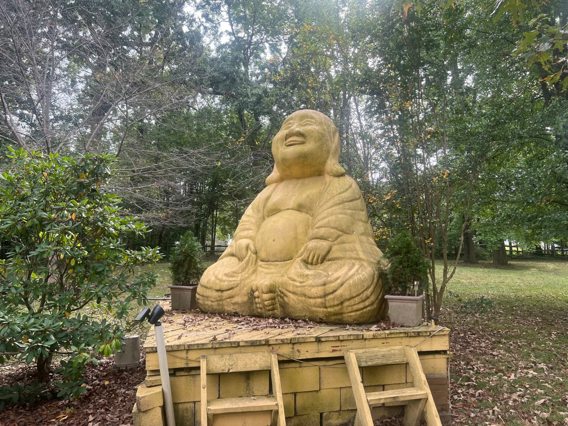 Garden statue before cleaning