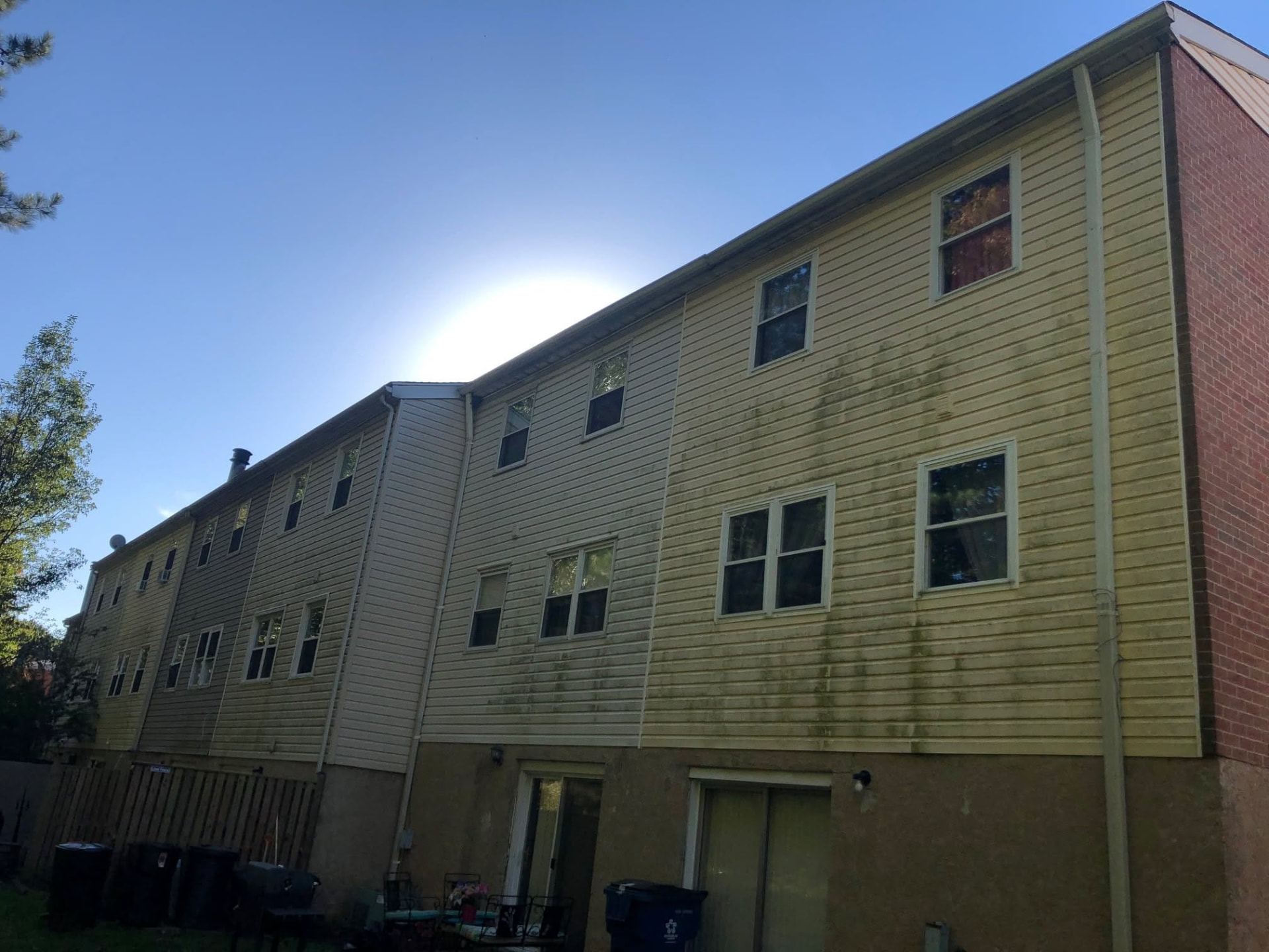 Yellow siding with green growth before washing